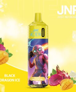 JNR Alien Black Dragon Ice: Mystical, cool flavour with 10,000 puffs